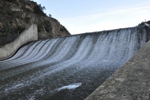 LP Dam Fish Passage