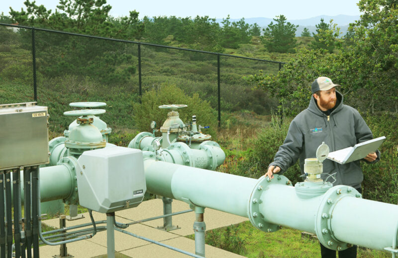A vibrant display of colorful flowers, including purple, yellow, red, and white blooms, arranged in a lush garden setting.
