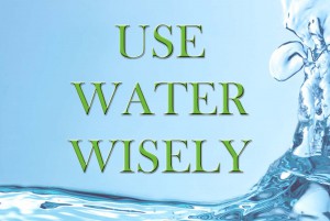 waterwise2
